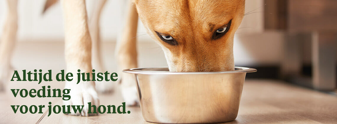 Met gratis voedingsadvies van jouw dierspecialist.